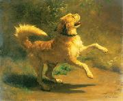 Rudolf Koller Springender Hund Spain oil painting artist
